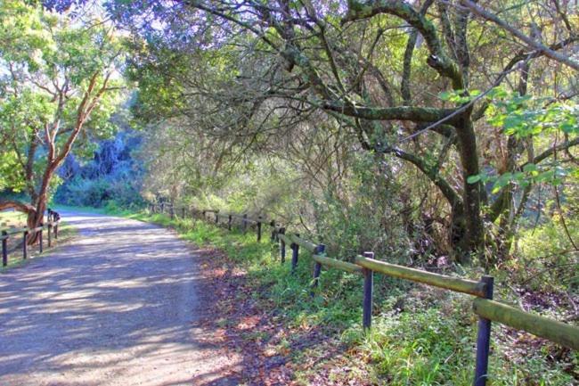Alkantmooi Private Nature Reserve - Keursee Plettenberg Bay Zewnętrze zdjęcie